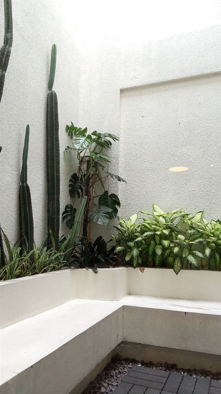 EstudioAI